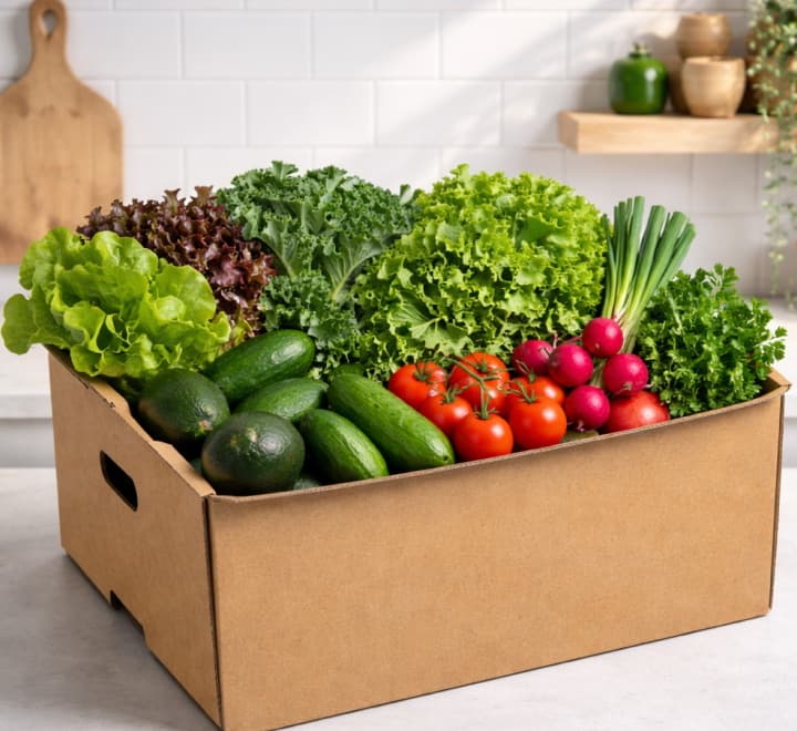 Salad Box